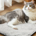 4 Pack Self Warming Cat Pad Self Heating Cat Mat Thick Faux Fur Plush Pet Bed Thermal Washable Dog Mat Anti Slip Bottom for Outdoor Indoor Pets