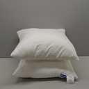 MIULEE 20 x 20 Pillow Inserts (Set of 2) -Throw Pillows for Couch Sofa with 100% Cotton Covers
