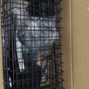 INCLY 30PCS Peg Board Organizer Accessories Kit, Pegboard Hooks Assortment with Bins, Cups, Wire Baskets and Paper Towel Holder for 1/8 and 1/4 Pegboard Garage Workbench Craft Room Organizing Tools (Black)