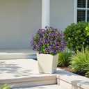 24" Artificial Potted Plants Outdoor Set of 2, UV Resistant Faux Purple Daisy Mums Flowers with Eucalyptus, Decorative Plants in Pots for Front Porch, Patio & Entryway