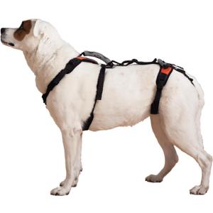 Help 'Em Up® - Dog Lift Harness│ Adjustable Lifting Harness for Dogs │ Full Body Support, Rear Leg Support (Conventional, Medium, 45-80 lbs)