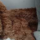 Brown 6x9 Area Rugs for Living Room Bedroom, Large Fluffy Bedside Throw Rug, Soft Plush Shaggy Fuzzy Floor Carpet for Nursery Kids Girls Boys Teen Dorm Home Office Decor Aesthetic