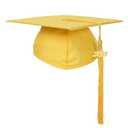FtyFty Unisex Adult Matte Graduation Cap with Tassel Year Charm (Gold) Pack of 2