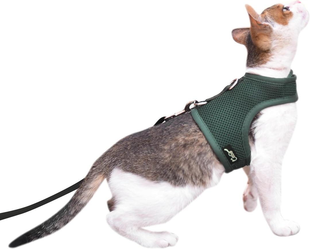 Cat Harness and Leash for Walking Escape Proof Breathable Mesh Fabric, Solid Green, Large, Adjustable Cat Walking Jackets, Padded Stylish Cat Vest (L 8-12LBS)