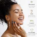 Fita+ Quiet and Showy Ear Plugs Noise Reduction for Concerts (Silver-Vine)