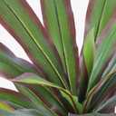 FLOWORLD Dracaena Artificial Plant 6ft Red Yucca Silk Tree Faux Plants Indoor Tall Fake House Floor Plants Realistic Artificial Trees for Home Office Decor Indoor Outdoor Housewarming Gift