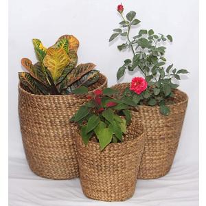 Pot Plant Cover/Planters/Tub in Natural Water Hyacinth Reeds, Set of 3 (1 Extra Free) by RDE Collections