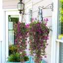 RECUTMS 2Pcs Artificial Hanging Flower Greenery Plants Faux Greenery Artificial Plants for Outdoors Hanging Basket Plastic Home Garden Wedding Party Decorations(Fuchsia)