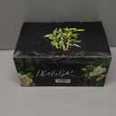 IXIGER Bamboo Box - C