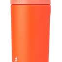 Kids FreeSip Insulated Stainless Steel Water Bottle with Straw for Sports, Travel, and School BPA-Free Sports Water Bottle, 16 oz, Blue Citrus (16 Ounces, Blue Citrus)