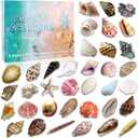 Natural Ocean Christmas Advent Calendar 2025 for Kids, 24 Days of Random Shells, Conchs, Starfish Blind Box Christmas Countdown Gift for Boys, Girls, Teens & Adults Sustainable Coastal Gift