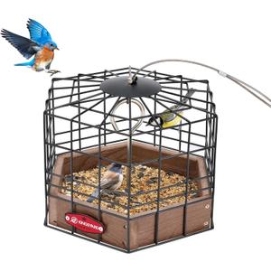 Kingsyard Squirrel Proof Platform Bird Feeders for Outdoor Hanging, Caged Bird Feeder for Small Wildbirds Finches, Recycled Plastic Feeding Platform with Metal Seed Tray, Brown
