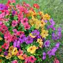 LADADA 8 Pack Colorful Artificial Flowers UV Resistant for Outdoor