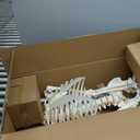 72.83 Inch Life Size Human Skeleton Model for Anatomy, Anatomically Correct Skeleton with Detachable Skull & Movable Arms Legs, Medical Study Teaching Tool & Halloween Skeleton Decoration
