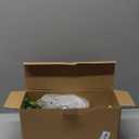 2 Pack Small Fake Plants 14" Eucalyptus Potted Artificial Plants for Shelf Desk Home Bathroom Farmhouse Room Coffee Table Decor (Sage Green-Large)