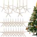 20PCS Christmas Starfish Ornaments Ready to Hang 3"-4'' Natural Starfish Decor with Drilled Holes & Hanging Rope for Christmas Tree Hanging Ornaments, Beach Theme Wedding Home DIY Crafts