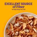 Raisin Nut Bran Cereal, High Fiber Cereal, Made with Whole Grain, 20.8 oz (EXP 05/15/27)