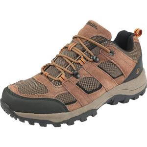 Northside Men's Monroe Low Hiking Shoe (12, Brown)