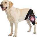 Dog Knee Brace for Torn ACL/CCL & Hind Leg Support - Adjustable Brace for Arthritis Relief, Joint Stability & Injury Recovery - Fits Small & Medium Dogs (L)