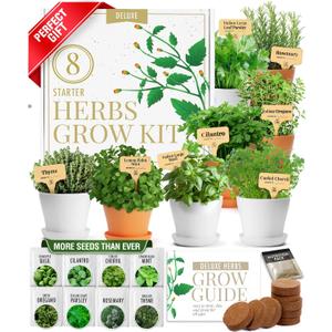 HOME GROWN Gift Herb Kit  8 Herb Seeds Set with Basil, Cilantro, Mint & More, Complete Indoor Grow Kit for Kitchen, Gardening Gifts for Women & Men, Ideal for Cooking & Home Dcor