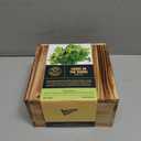 Indoor Herb Garden Starter Kit - Heirloom, Non-GMO Herb Seeds - Basil Thyme Parsley Cilantro Seed, Potting Soil, Pots, Scissors - DIY Grow Kits for Growing Herbs Indoors, Kitchen, Balcony, Window Sill (EXP 08/18/26)