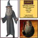Rubies Lord Of The Rings: Gandalf Costume for Adults, Men's Standard (Black)