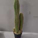 Artificial Cactus Fake Big Cactus 24 Inch Faux Cacti Plants for Home Garden Office Store Decoration