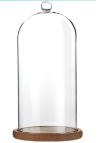 Farmlyn Creek Glass Cloche Dome Bell Jar Display Case with Wooden Base for Plants, Collectibles (5.1x10 in)