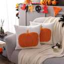 LUOYEHK Halloween Throw Pillow Covers 18x18 Set of 2 Orange Pumpkin Embroidered Pillow Cases Holiday Thanksgiving Velvet Cushion Covers for Couch Sofa Bed