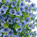 Artificial Violet Flowers Ball Bush with Ground Spike,Yard Fake Plants Faux Greenery Shrub for Patio Porch Wedding Hallway, Blue
Fake Flowers