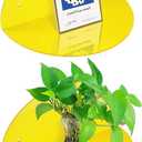 ROYALITA Small Acrylic Shelves Room Decor Floating Shelves (2-Pack, 8-inch Diameter) - Wall Mounted Display Stand for Plants, Toys, Makeup, and More - Ideal for Home and Office, Yellow