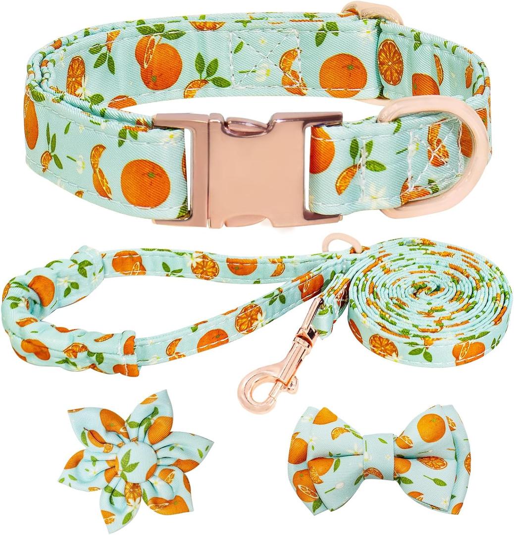 Dog Collar and Leash Set Girls Adjustable Puppy Collars with Fruit Bow Tie for Small Medium Large Female Dogs, Green Orange, L Dog Collar and Leash Set Girls Adjustable Puppy Collars with Fruit Bow Tie for Small Medium Large Female Dogs, Green Orange, L