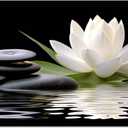 CCWACPP Zen Canvas Wall Art White Lotus Bloom in Water Picture Flowers Stone Spa Painting for Yoga Meditation Room Bathroom Prints Wall Decor Frame (Zen - 2, 24x36inch)