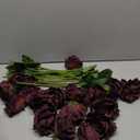 ATFL Fake Roses Artificial Flowers Bulk,Floral Diameter 4'',20 Pcs Artificial Silk Roses Flowers with Stems for Wedding Arrangement Centerpieces Party Home Table Decorations (20, Burgundy)