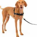PetSafe Easy Walk No-Pull Dog Harness - The Ultimate Harness to Help Stop Pulling - Take Control & Teach Better Leash Manners - Helps Prevent Pets Pulling on Walks, Medium, Black/Silver