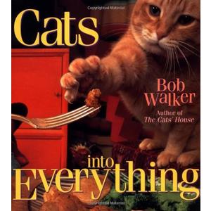 Cats Into Everything, hardcover
