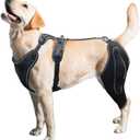 LISPOO Dog Knee Brace with Metal Hinged Support - Adjustable ACL Support Brace for Torn Ligaments, Luxating Patella & Arthritis, Breathable Strap Design for Large Dogs (Size L)