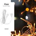 PRETYZOOM 2 Pack Led String Light Extension Cord 118In Flexible Cable for Indoor Outdoor Party Decoration with International Plug
