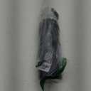 Brita Stainless Steel Premium Filtering Water Bottle, BPA-Free, Reusable, Insulated, Replaces 300 Plastic Water Bottles, Filter Lasts 2 Months or 40 Gallons, Includes 1 Filter, Carbon - 20 oz