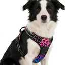 Rnivvi No Pull Dog Harness, Cute Leopard Reflective Medium Sized Puppy Kitten Harness, Adjustable Soft Padded Vest for Medium Dogs, Heavy Duty Pet Vest with Easy Control Handle for Walking