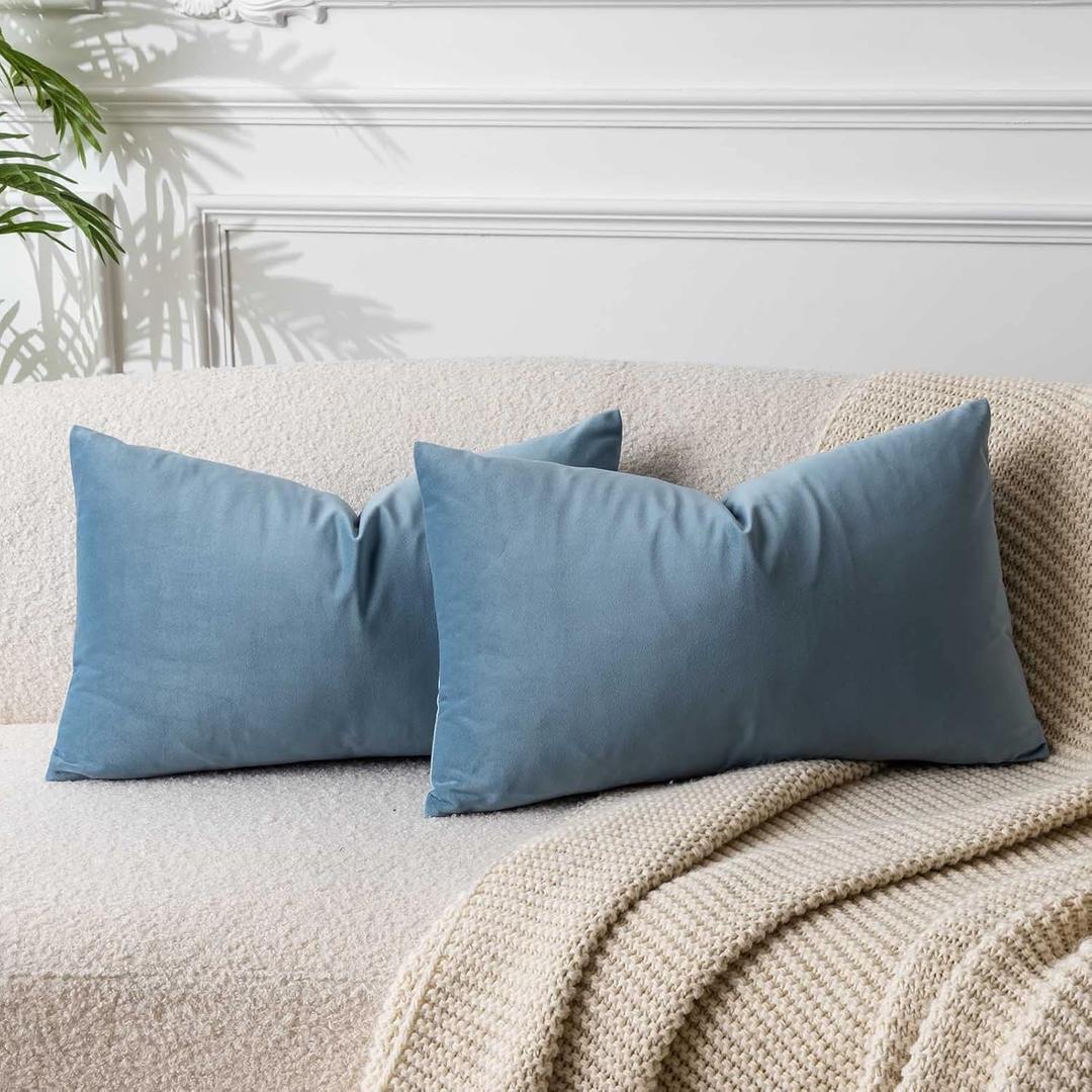 JUSPURBET Light Blue Throw Pillow Covers Set of 2 Decorative Velvet Pillow Covers for Couch Sofa Bed Soft Lumbar Cushion Covers with Invisible Zipper for Living Room Home Decor,14x24 inch
