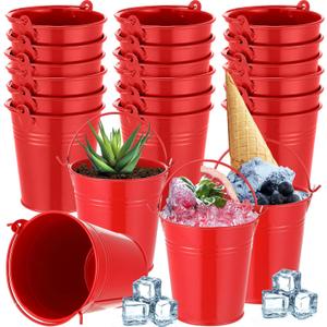 Mini Metal Buckets with Handles Galvanized Buckets 3.15 Inch Mini Container Pails for Metal Tin Plant Holder Pail for Wedding Decoration Party Favor(Red,28 Pcs)