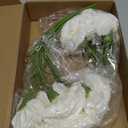 IPOPU White Carnations Artificial Flowers 10PCS Small White Flowers 11.4" Fake Carnations Silk Flowers for Home Decor Indoor Centerpiece Table Decorations Wedding Bouquets for Bride