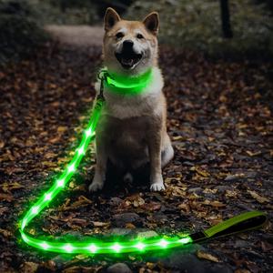 Illumifun LED Dog Leash, USB Rechargeable Glowing Light Up Dog Leash, Nylon Flashing Safety Pet Light for Night Walking (Green)