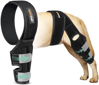 Lyderpet Dog Leg Braces for Back Leg for Support, Dog ACL Brace Hind Leg, Cruciate Ligament Knee Brace for Dogs Rear Leg with Torn ACL, Metal Side Stabilizers Keep The Joint Warm and Stable Small