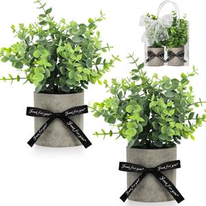 DomeStar 2 Pack Mini Artificial Potted Plants with Gift Bag & Ribbon - Gift Ready Faux Eucalyptus for Housewarming, Office Desk Decor - Cute Appreciation Gifts for Women, Coworkers, Friends (Green)