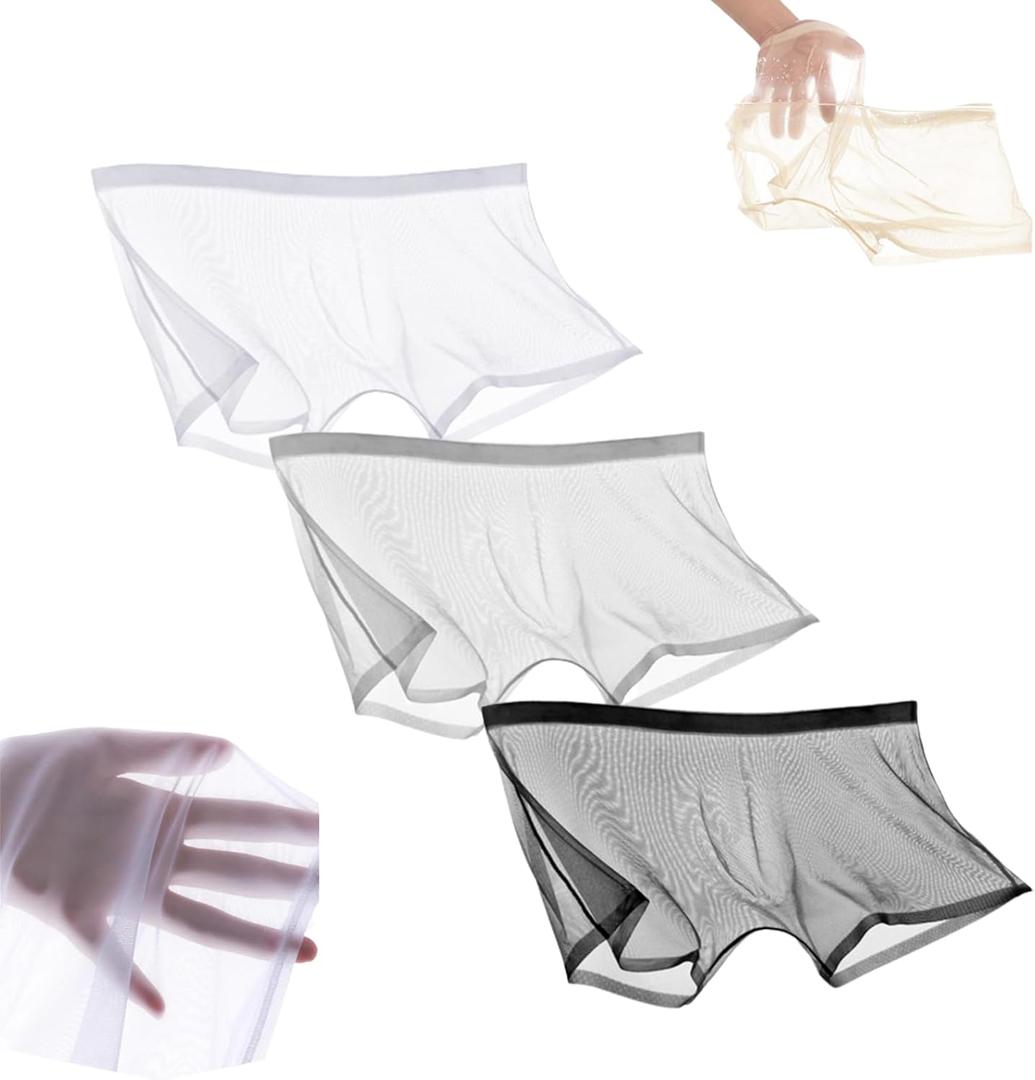 Ice Silk Sexy Mesh Full Transparent Boxer See Through Breathable Shorts Underwear Hollow Briefs for Men (Medium, A2)
