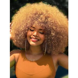 GKtineke Afro Wig 14Inch Afro Wigs for Black Women Blonde 70s Afro Kinky Curly Wig Bouncy Huge Fluffy Puff Wigs Synthetic Hair for Cosplay Daily and Party (Blonde)