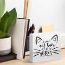 Funny Cat Decor for Home Tabletop Desk, Cat Lover Gifts, It's Not Cat Hair It's Kitty Glitter, Wooden Sign 5x5 Inches