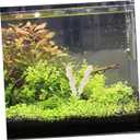Mipcase Crushed Coral for Freshwater and Saltwater Aquariums, Natural Ph Buffer Filter Media with Mesh Bag, High Surface Area Bio Media for Fish Tank Pond and Reef, 500g Random Size